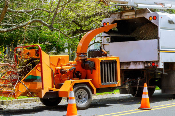 Best Fruit Tree Pruning  in Peru, IL